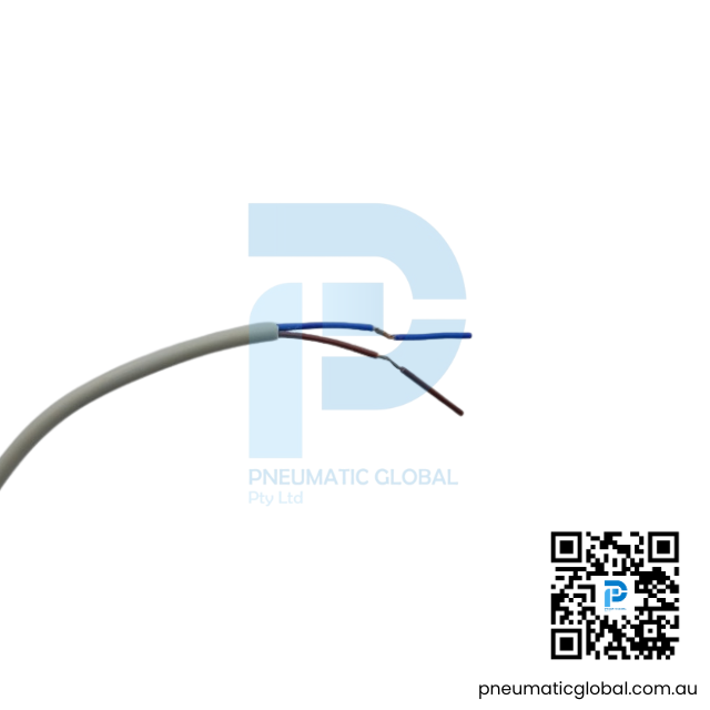 Magnetic Switch Sensor CS-9D | CHELIC Model - Image 4