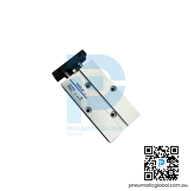 Twin Rod Double Acting Cylinder TD10-30 | CHELIC Model - Image 2