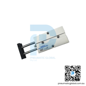 Twin Rod Double Acting Cylinder TD10-30 CHELIC Model Pneumaticglobal.com.au