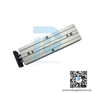 Air Cylinder TD10-100 CHELIC Model Pneumaticglobal.com.au